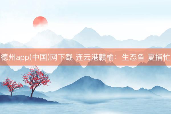 德州app(中国)网下载 连云港赣榆：生态鱼 夏捕忙