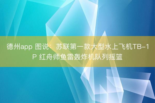 德州app 图说：苏联第一款大型水上飞机TB-1P 红舟师鱼雷轰炸机队列摇篮