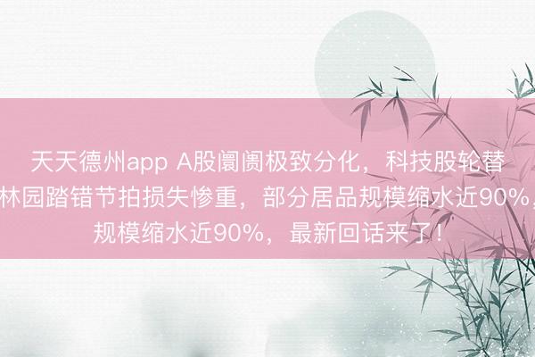 天天德州app A股阛阓极致分化，科技股轮替爆发！私募大佬林园踏错节拍损失惨重，部分居品规模缩水近90%，最新回话来了！