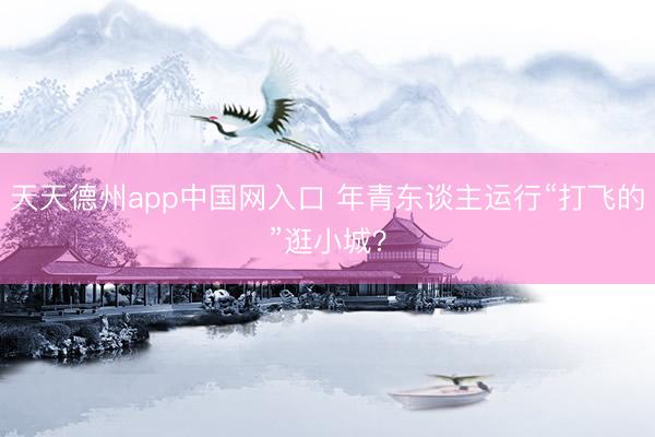 天天德州app中国网入口 年青东谈主运行“打飞的”逛小城？