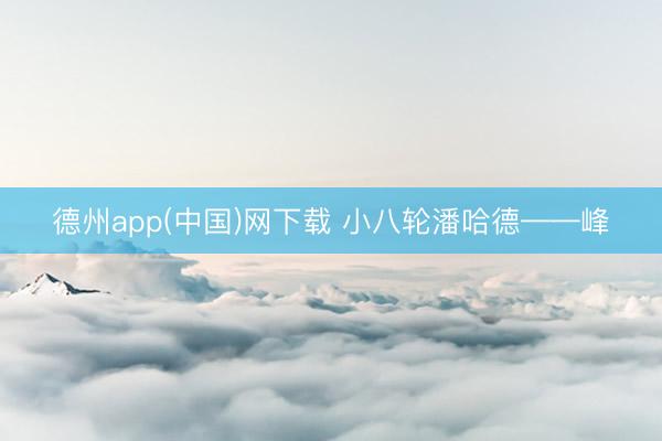 德州app(中国)网下载 小八轮潘哈德——峰