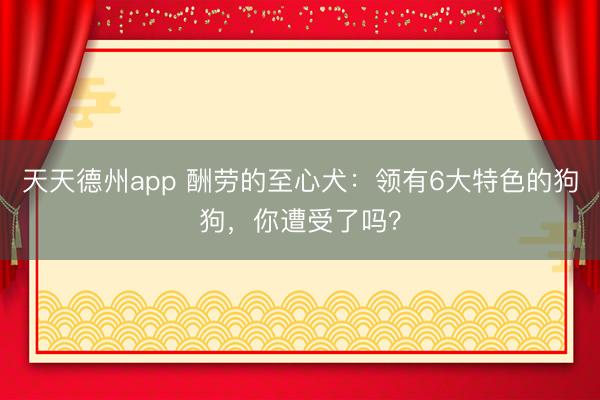 天天德州app 酬劳的至心犬：领有6大特色的狗狗，你遭受了吗？