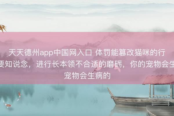天天德州app中国网入口 体罚能篡改猫咪的行径? 要知说念，进行长本领不合适的磨砺，你的宠物会生病的