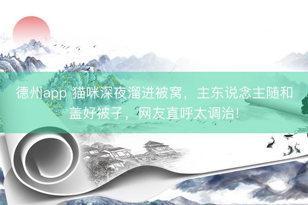 德州app 猫咪深夜溜进被窝，主东说念主随和盖好被子，网友直呼太调治!