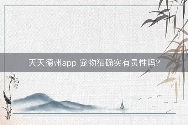 天天德州app 宠物猫确实有灵性吗?