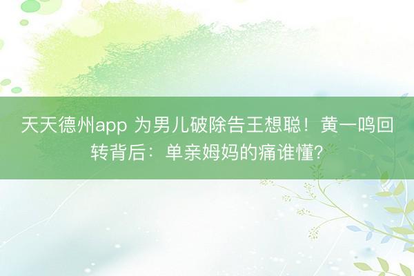 天天德州app 为男儿破除告王想聪！黄一鸣回转背后：单亲姆妈的痛谁懂？