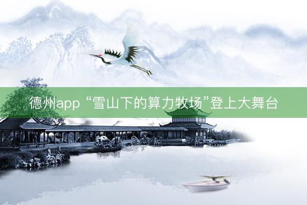 德州app “雪山下的算力牧场”登上大舞台